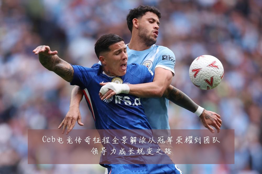 Ceb电竞传奇征程全景解读从冠军荣耀到团队领导力成长蜕变之路